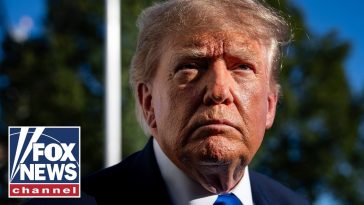 WATCH: President Donald Trump asked about controversial ad by Vivek Ramaswamy