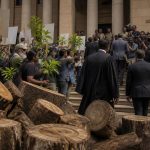 Judge Ana Reyes Halts Weekend Tree Cuts, Orders Officials to Testify