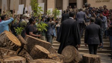 Judge Ana Reyes Halts Weekend Tree Cuts, Orders Officials to Testify