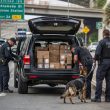 K-9 Otis Busts 440 Pounds of Cocaine Hidden in SUV