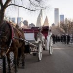 Trump Blasts NYC Carriage Ban, Warns of Job Losses
