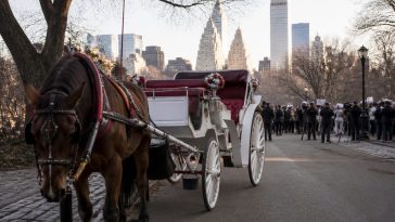 Trump Blasts NYC Carriage Ban, Warns of Job Losses